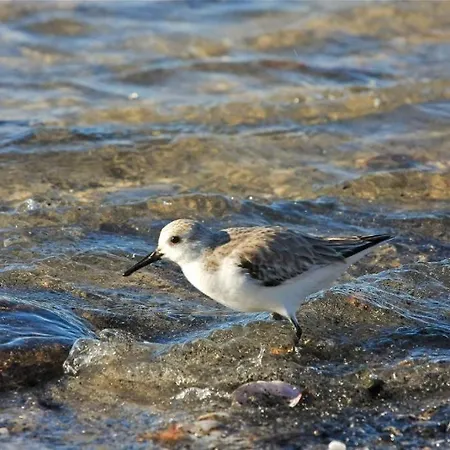 Lejlighed Casas E De Barra