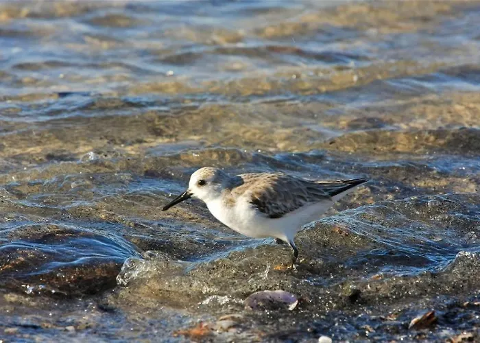 דירה Casas E De Barra